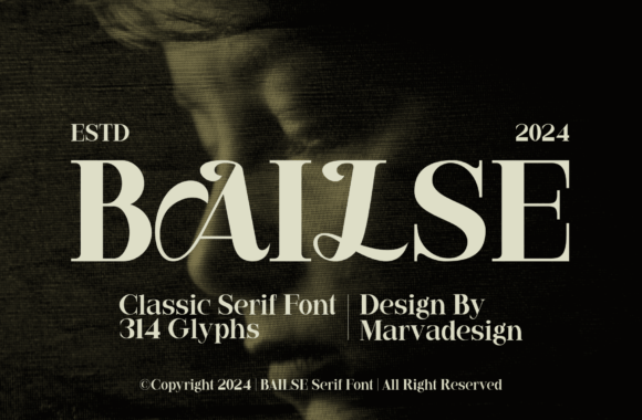 Why I Chose Bailse Font for My Brand